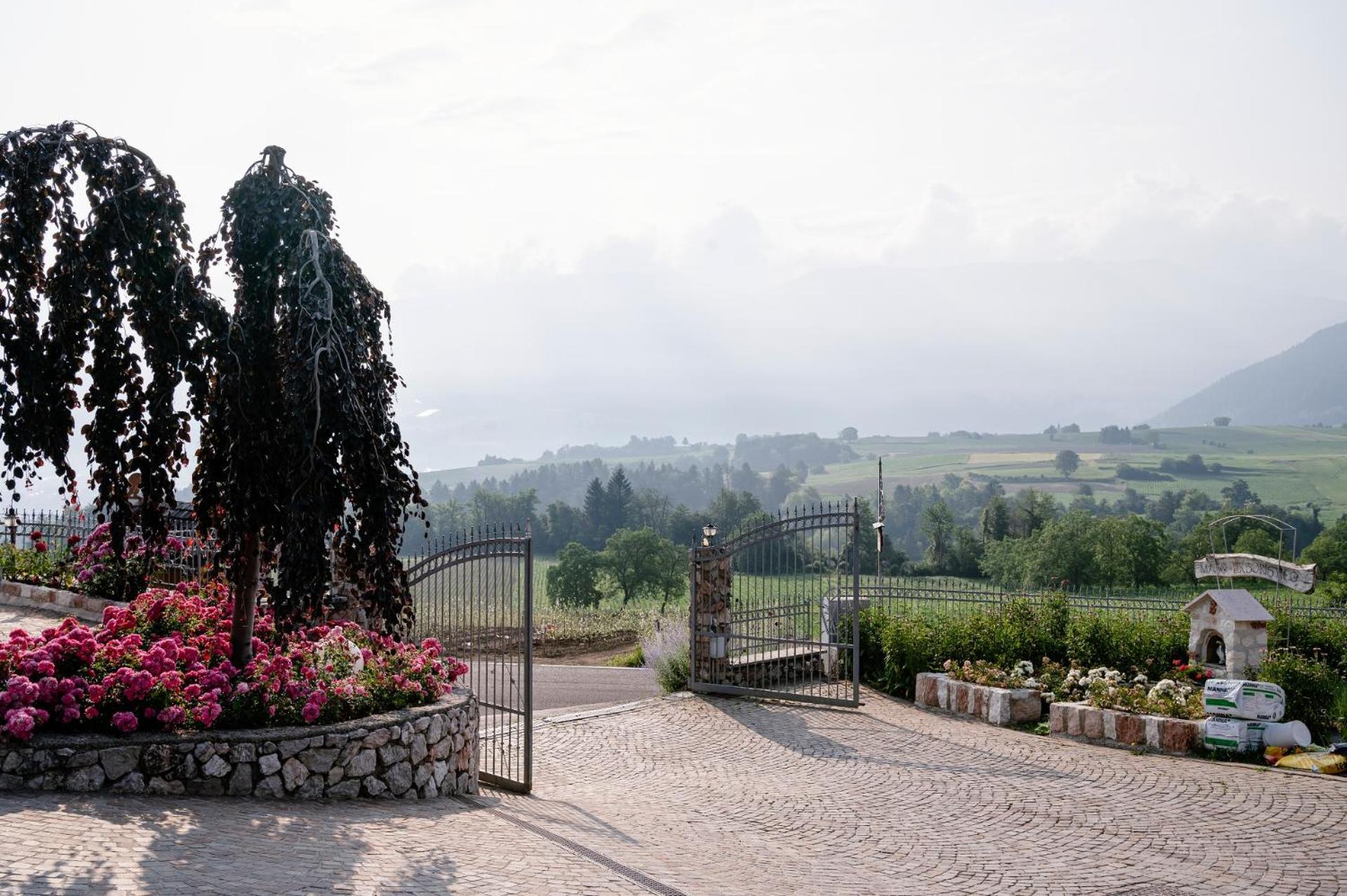 Agritur Maso Alle Rose B&B E Restaurant Balbido-rango Luaran gambar