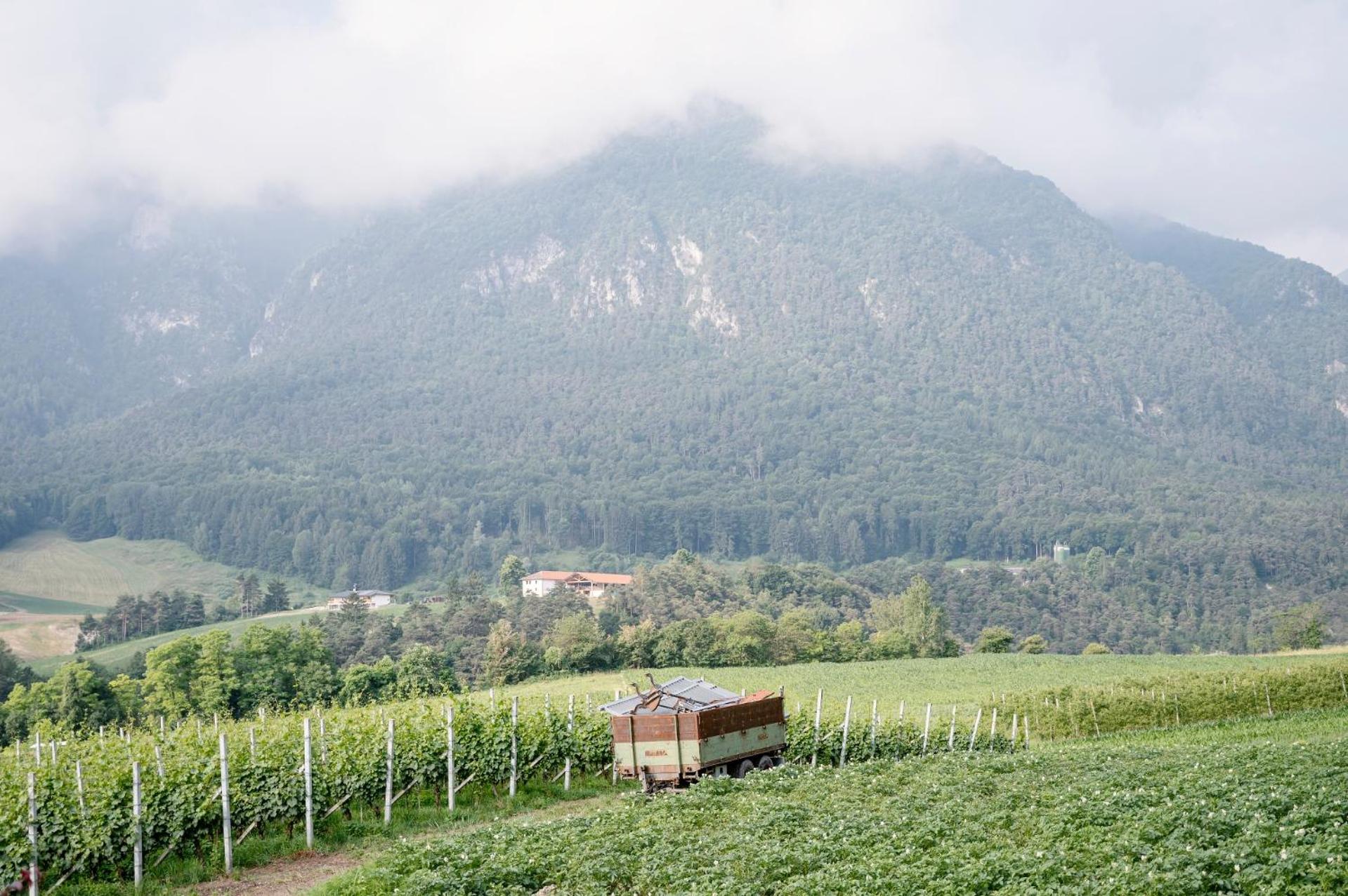 Agritur Maso Alle Rose B&B E Restaurant Balbido-rango Luaran gambar