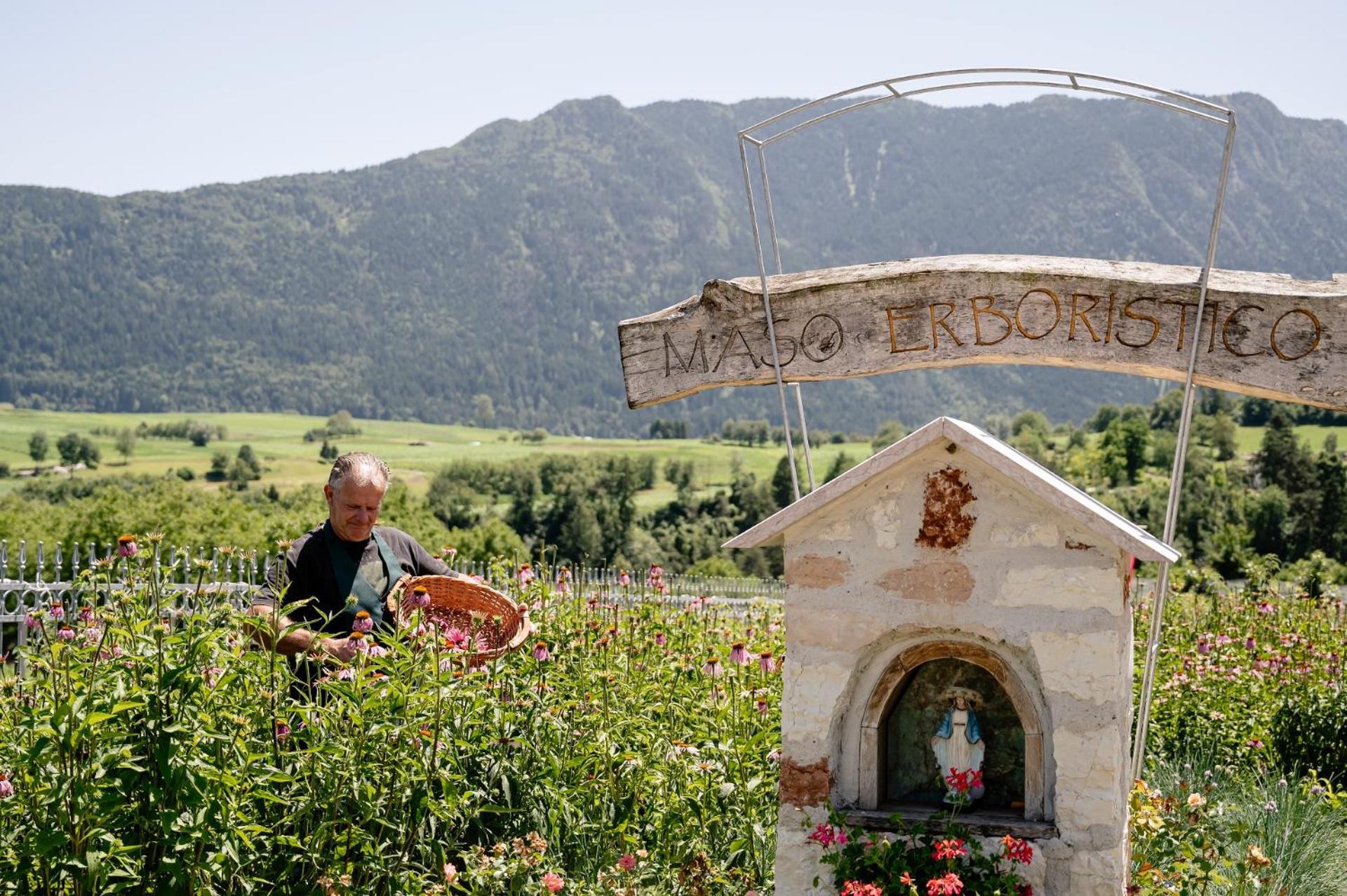 Agritur Maso Alle Rose B&B E Restaurant Balbido-rango Luaran gambar