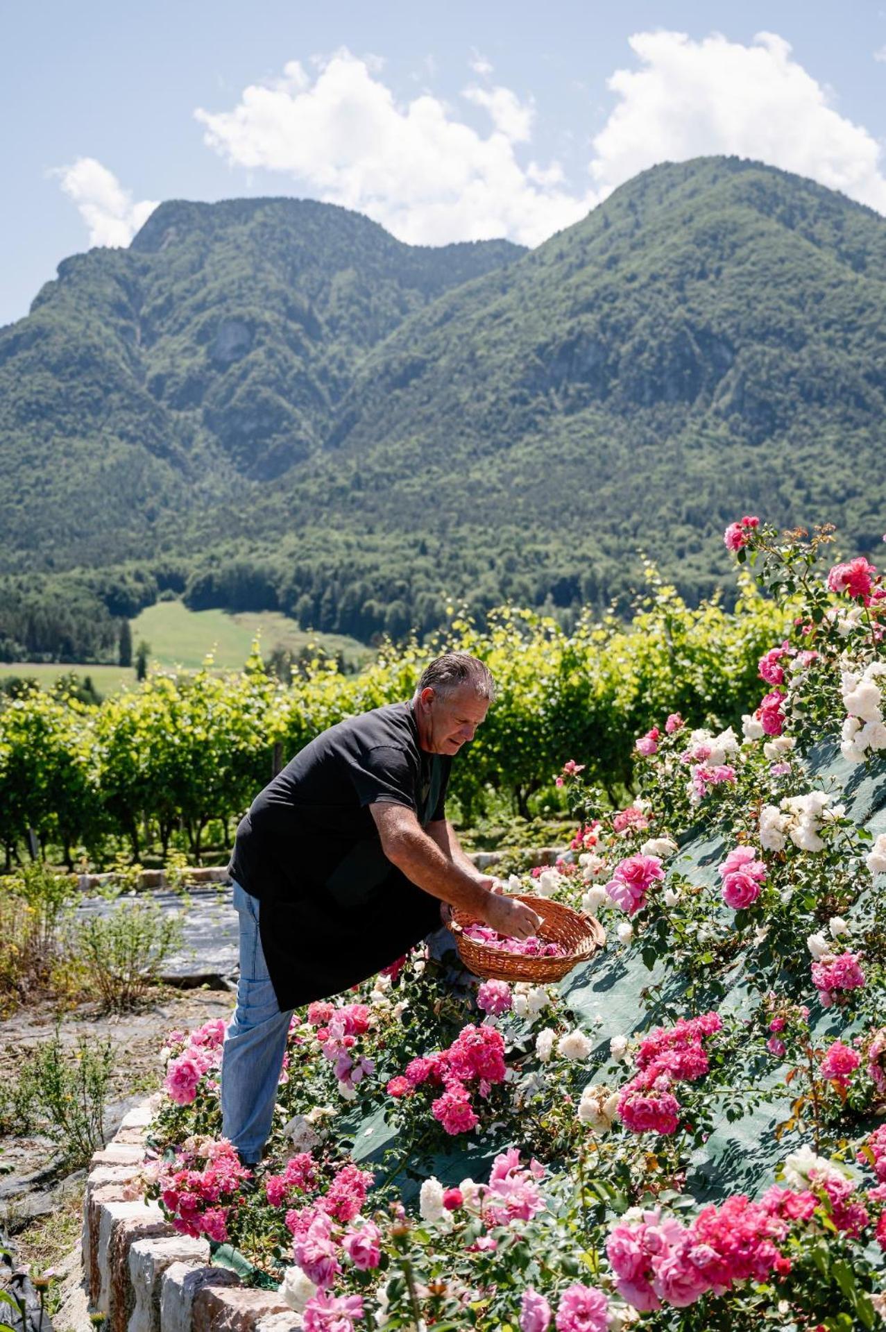 Agritur Maso Alle Rose B&B E Restaurant Balbido-rango Luaran gambar